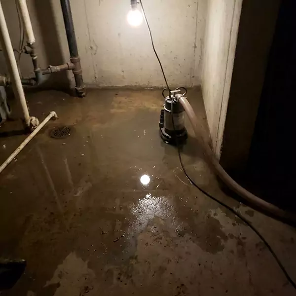Basement Flood Clean Up in Sandalfoot Cove, FL