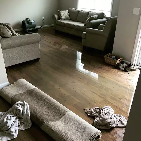 Flood Restoration in Sandalfoot Cove, FL