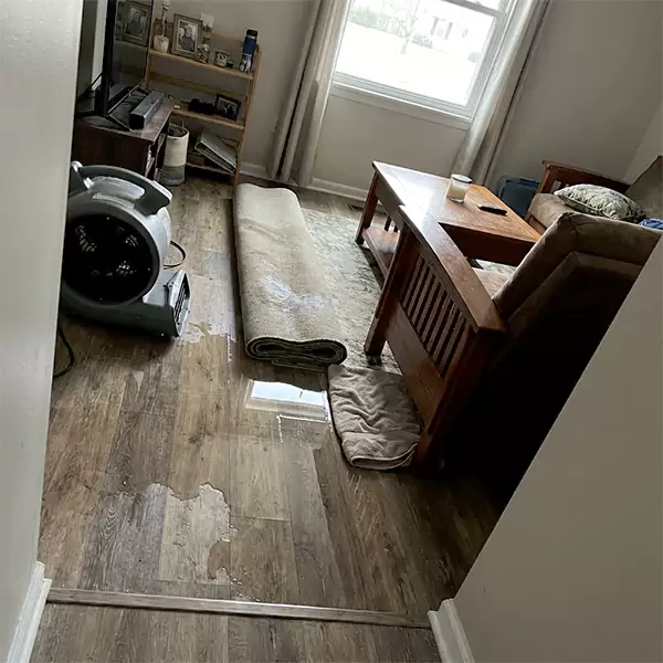 Water Restoration in Sandalfoot Cove, FL