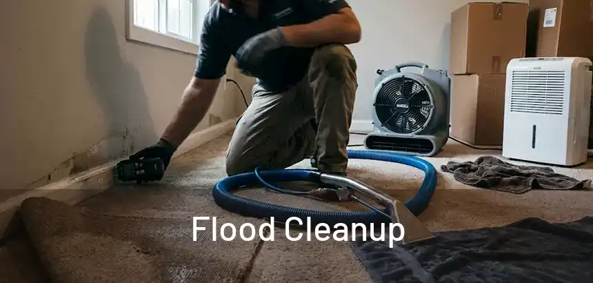  Flood Cleanup 